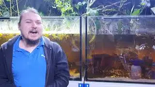 Das Filterlose Aquarium mit Bachlauf - sauberes Wasser ohne Filter