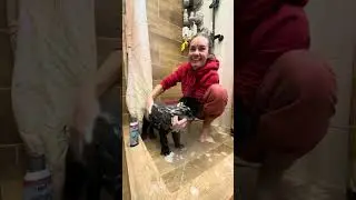 Первый пошел 🤪❤️