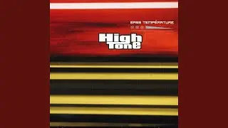 Echo-Logik