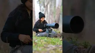 immerse yourself in the wilderness. #aparupadey #nikon #wildlife #tripod #revolve