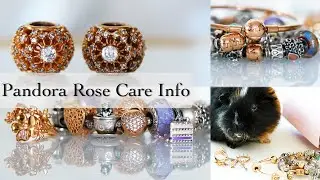 Pandora Rose Collection | Colour Change | How to Clean Pandora Rose