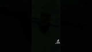 Funny 360 Camera