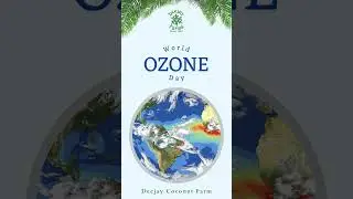World Ozone Day 2024: Advancing Climate Action #deejaysampoorna #deejaycoconutfarm #ozone