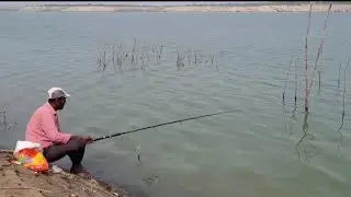 unique Fishing 🎣 In indian River FLOAT FISHING to Krishna River Single Hook Big Rohu Fishes
