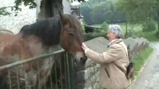 Eyneburg.wmv