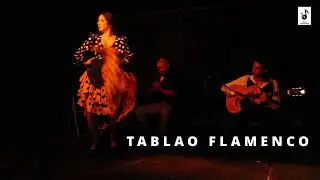 Martes Flamencos en Caf&egrave; Teatre Llantiol Barcelona