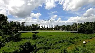 Beautiful Kerala | #Shorts |@KalaYatra