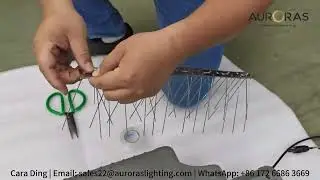 Solar Street Light Bird Spike Installation | Protecting Solar Panels & Lighting Systems