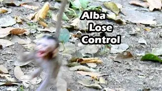 Alba Cry Lose Control Cos Her Mum Walk Away From Her | Alba Scare During She Stay Alone