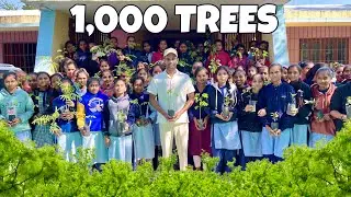 Planting 1,000 Trees, With School Students