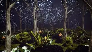 Dark Forest Video Footage - Dark Forest Strange Animation | Video 4K | Video HD
