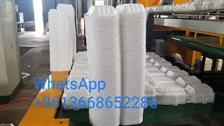 CHINA BEST Disposable food tray machine  ps k&ouml;p&uuml;k kutu makinası