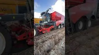 aardappelen rooien