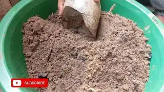 How to make best compost at home 18-1-2026