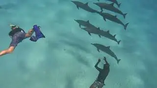 Brayka Bay Marsa Alam & Sataya Reef 2024 Kurzfilm Teil 1