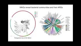 iMeta | The co-occurrence of antibiotic resistance genes between dogs and their owners in families