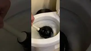 MASTER The Plunger In 39 SECONDS For A Clog FREE Life!