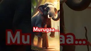 5✨Interesting Facts | Thiruthani Murugan Temple #murugan #vetrivelmuruganukuarogara