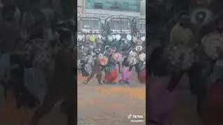 D Boss odeya film song