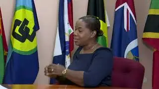 Interview with, Deputy Programme Manager, Gender and Development, CARICOM.
