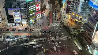 My Japanese Adventure Part 1- Tokyo, Shibuya, Senso-ji, Skytree and more