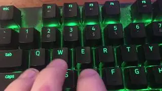 Razer Blackwidow 