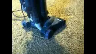 dog attacks vacuum cleaner