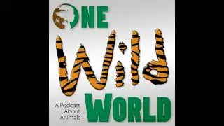Combining Art & Science: Can We Paint a New Picture of Wildlife?