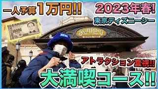 【チケット完売日！】久しぶりに来る方向け！東京ディズニーシーでアトラクション重視の大満喫コースを紹介！