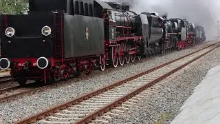 WOLSZTYN Parada Parowozów  2025