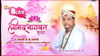 पूज्य आचार्य पंडित घनश्याम तिवारी जी महाराज भाठापारा | Kukrachunda Baloda Bajar  Live