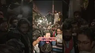 Pora peshawar jam hai #pti #currentaffairs #peshawar #imrankhan #news #kamranbangash #news #protest