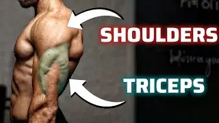 Develop your TRICEPS / SHOULDERS at HOME | NO EQUIPMENT 💪