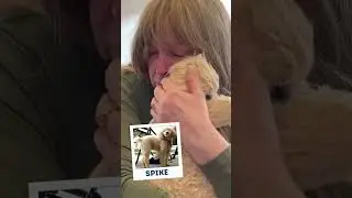 Unboxing Custom Stuffed Animals Of Their Past Pets | MyPetsies&copy;