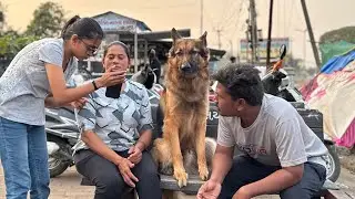 LIVE Dog Training Today | Real Behaviour Change with Monomark 🐾 