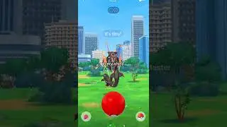 Вещи, из-за которых так много игроков в Pokemon были ошибочно забанены.