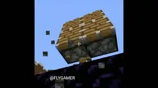 Illegal nether portal BUG #shorts #minecraft