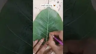 leaf carving 🦋#leafart #leafcarving #leafwork #butterfly #carving #carvingideas #soundaryaarts