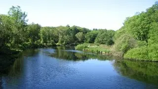 Wellesley Trail Walk - Lower Falls Walk
