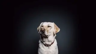 its ur favourite bot here we go again - highlights.mp4