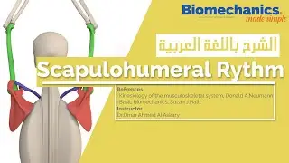 Scapulohumeral Rythm - Biomechanics made simple