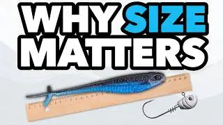 Too BIG Is a Major Problem : Jighead Minnow Advanced Bass Fishing Tips