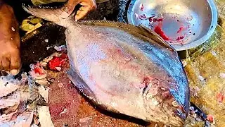 Giant Live Black Pomfret Fish Cutting Skills | Amazing Black Pomfret Fish Cleaning Cutting In Market