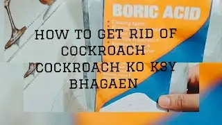 cockroach bhagany ka tariqa|boric powder  sy cockroach ko ksy bhagaen | how to get rid of cockroach