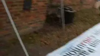 Ron Paul Sign Making - Portsmouth, Virginia