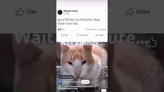 can you guys make this viral? Use this sound #cat  #flop