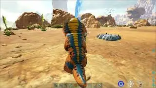 -P4Y4- GRUPAL
