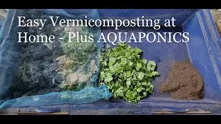 EASY VERMICOMPOSTING AT HOME - VERMICAST PLUS AQUAPONICS