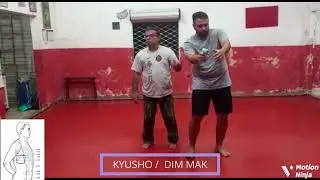 DOJ&Ocirc; LUAS / TACTICAL KYUSHO BRAZIL 2023