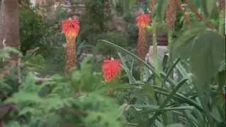 www.pension-gradina.de LOVISTE Peljesac Dalmatien Kroatien